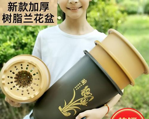 陶瓷花盘种植君子兰的步骤是什么？
