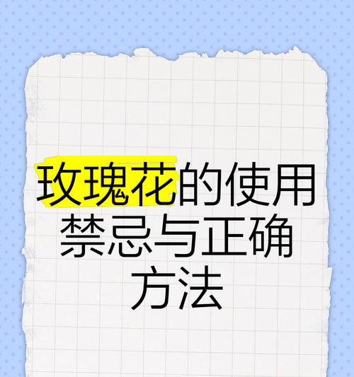 种植玫瑰花的步骤和注意事项有哪些？