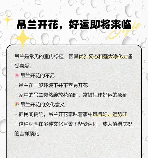 吊兰的花语是什么？它象征着什么？