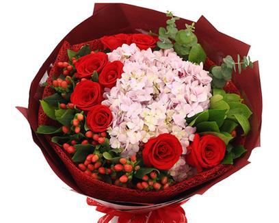 绣球花红色花语代表了什么？