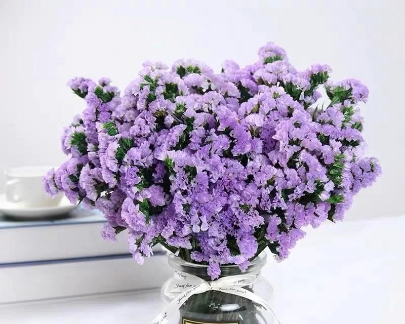 勿忘我花语适合搭配什么花？