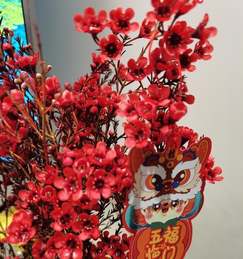 红腊梅花语代表了什么？
