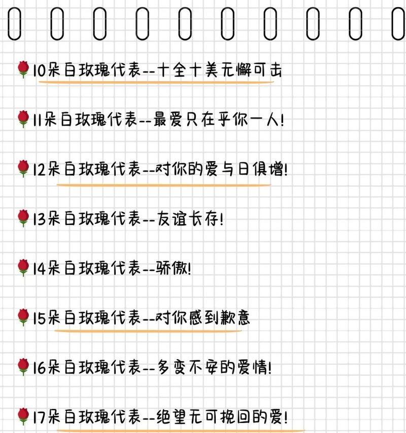 白菊花与白玫瑰的花语有何不同？