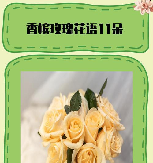 花语相关的名词有哪些？它们各自代表了什么？