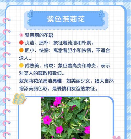 花语相关的名词有哪些？它们各自代表了什么？