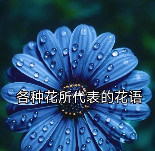花的花语如何代表生命？它在花语中有什么深层含义？