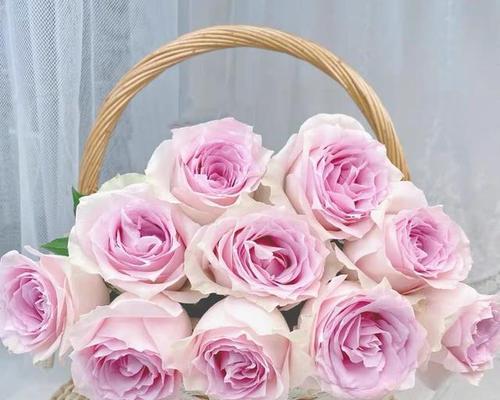 粉月季的花语是什么？粉月季代表什么？