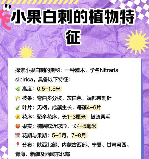 小白果的花语是什么？小白果寓意有何特别之处？