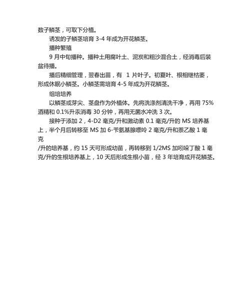 水仙未开花的花语是什么？它传达了怎样的信息？