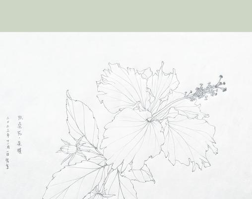 朱槿花的花语是什么？它在花卉语言中代表什么？
