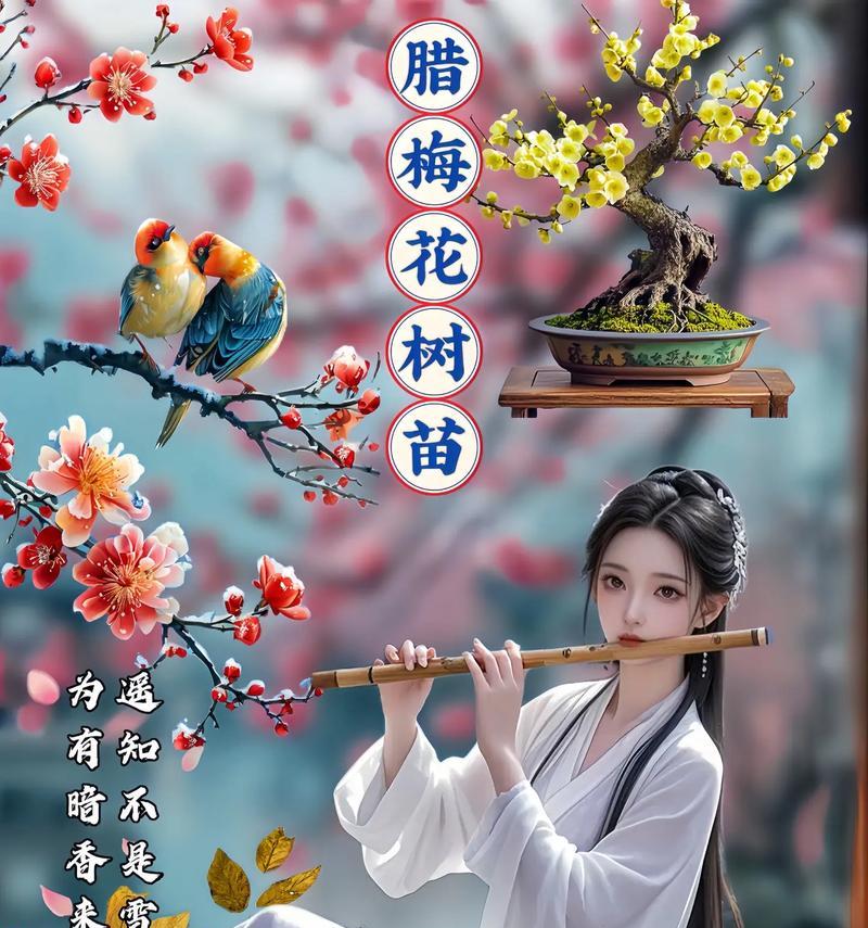 腊梅的花语是什么？腊梅象征着什么？