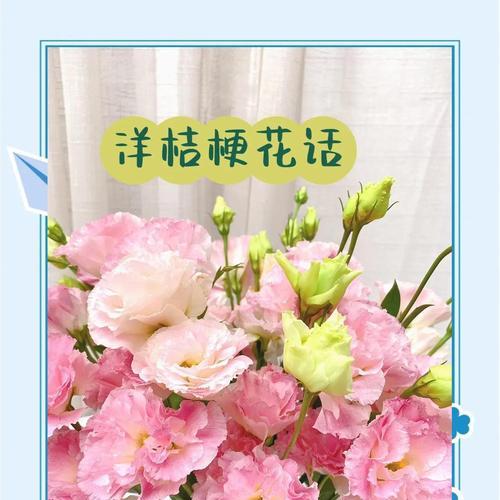 哪种花的花语寓意神秘？神秘花语的花有哪些？