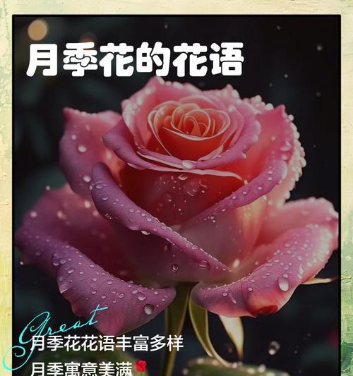 哪种花的花语寓意神秘？神秘花语的花有哪些？