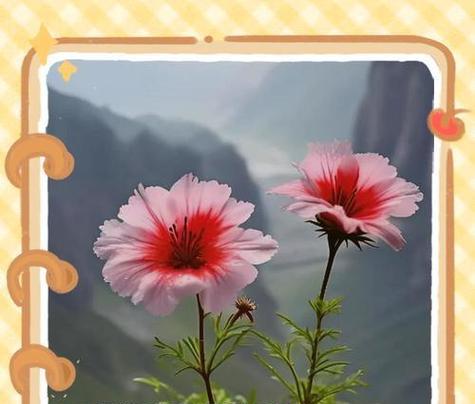 玫瑰花语花卉盆栽是什么？它有何特别含义？