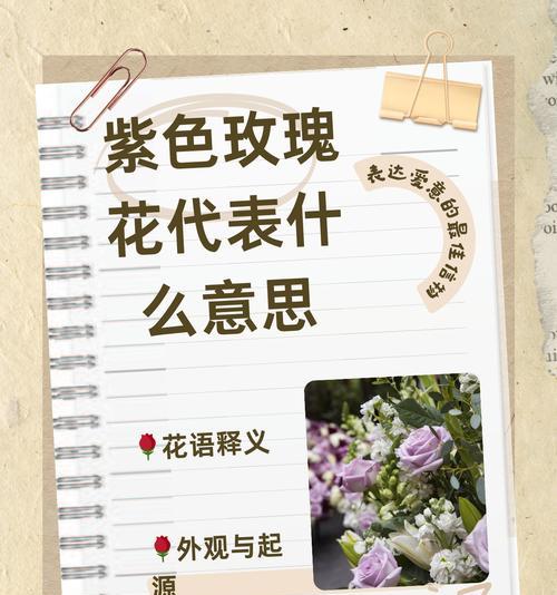 玫瑰花语花卉盆栽是什么？它有何特别含义？