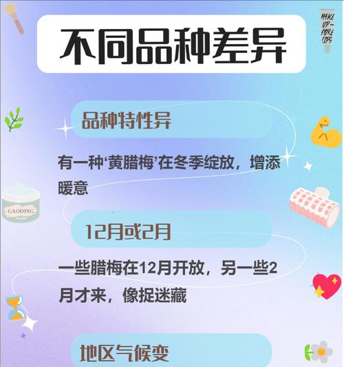 蓝色腊梅的花语是什么？蓝色腊梅有何特别寓意？