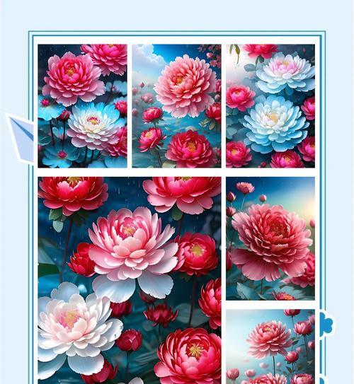 牧丹的花语是什么？牧丹象征着什么？