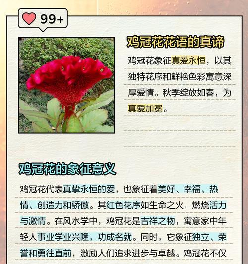 秋天的植物有哪些花语？秋天植物的花语代表什么？