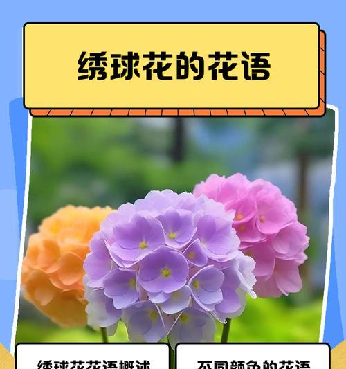 花朵的花语有哪些？背后的故事是什么？