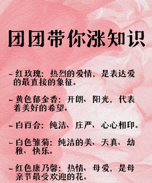 花朵的花语有哪些？背后的故事是什么？