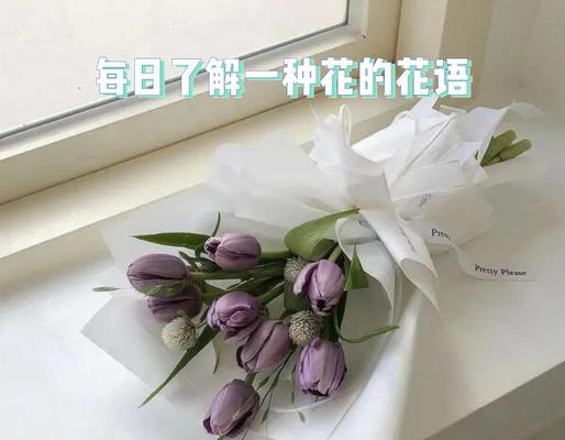 花语的寓意和象征有哪些？如何正确理解？
