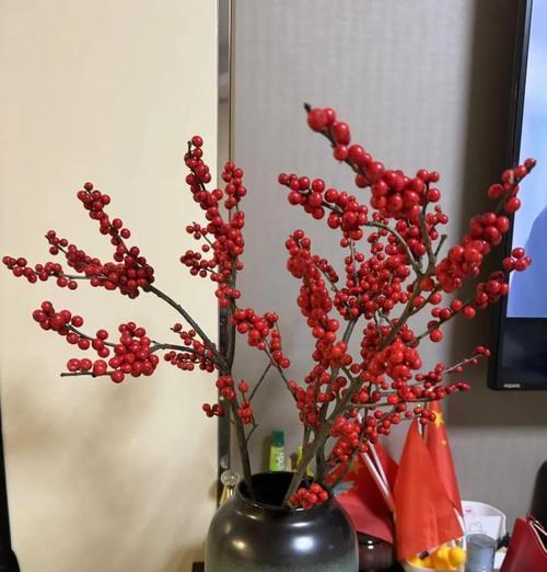 冬青果适合哪种花语？如何用冬青果表达情感？