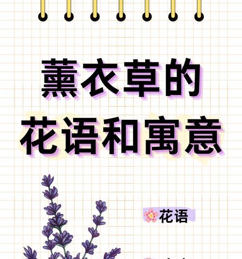 花语中哪些寓意健康？如何选择合适的花朵？
