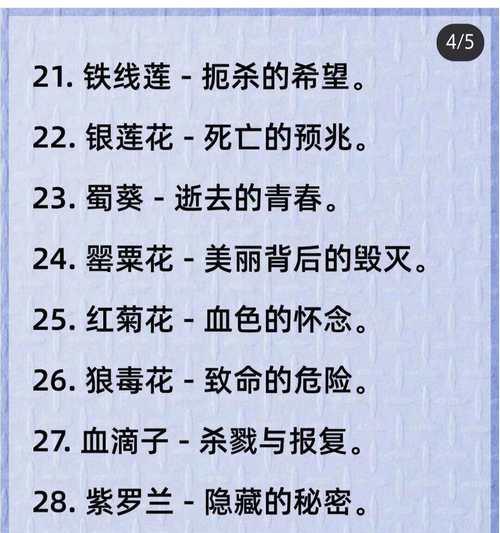 严厉缺温柔的花语是什么意思？
