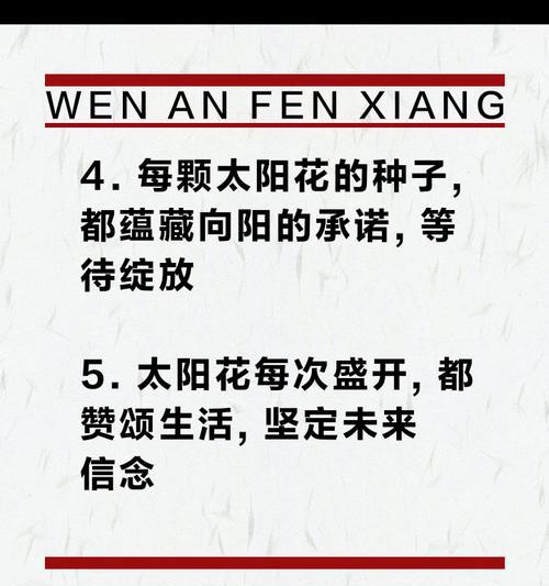 太阳花的真正花语是什么？