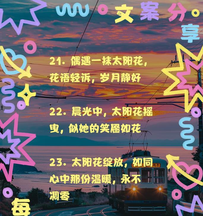 太阳花的真正花语是什么？