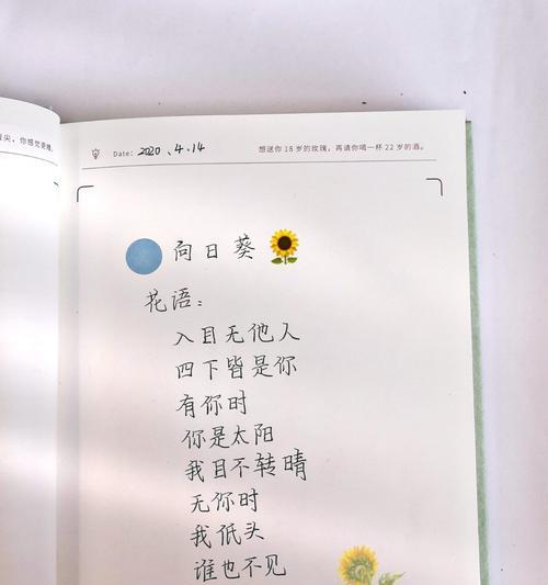 太阳花的真正花语是什么？
