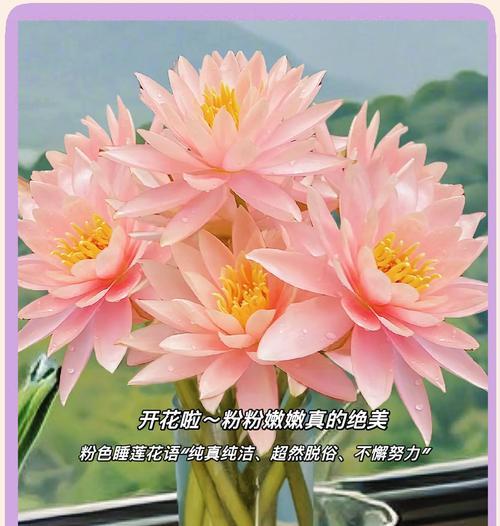 花语如何表达绝美的爱情？