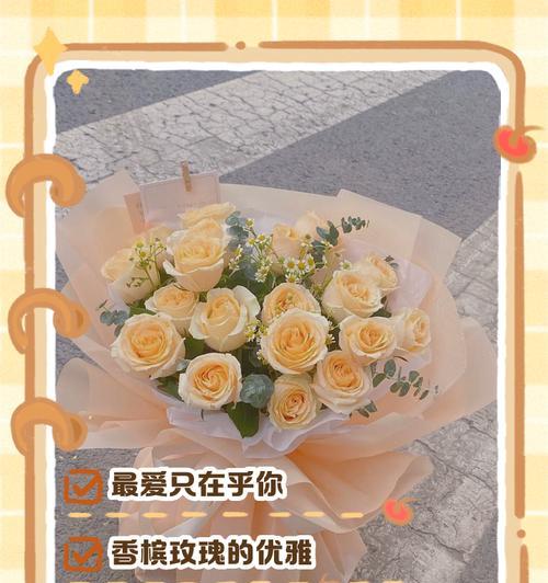 香槟花的花语有何特别之处？