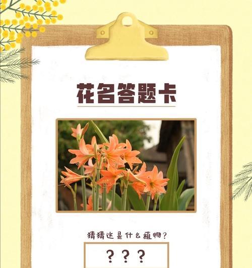 蘑菇的花语有哪些含义？