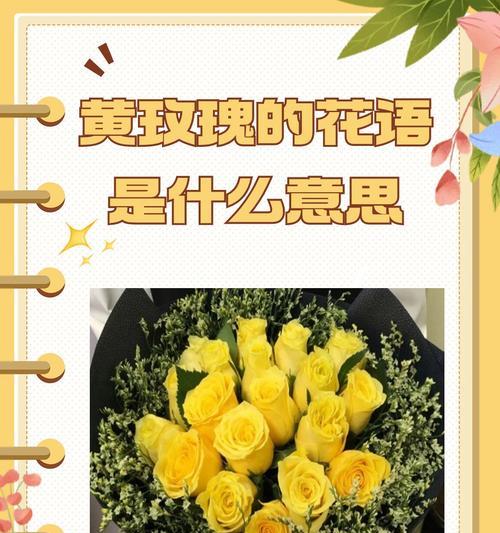 爱的花语大全有哪些？
