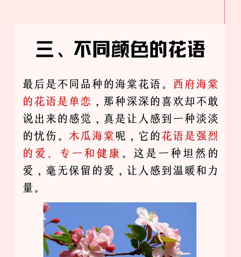 梨树的花语及其象征意义是什么？