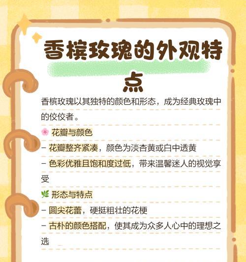 哪种花的花语代表专一不变？