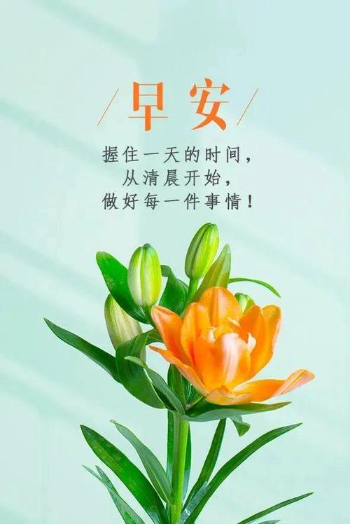 兰花的花语有哪些含义？