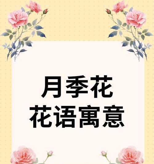 白色月季的花语有哪些？