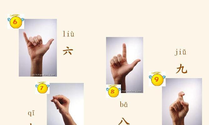 数字一二三四五六的花语分别是什么？