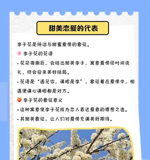 哪些花语代表不好的人？含义是什么？