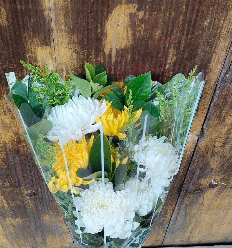 菊花的花语有哪些？背后传说是什么？