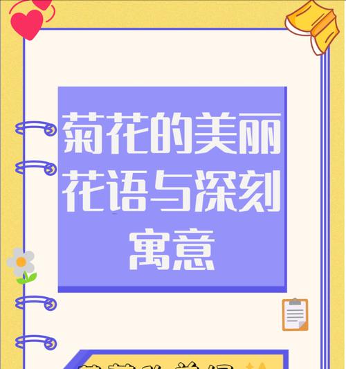 不同品种菊花的花语分别是什么？