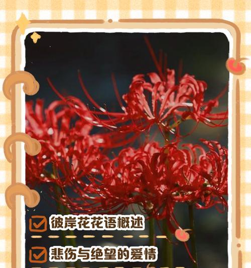 所有花的花语中哪些代表离别？