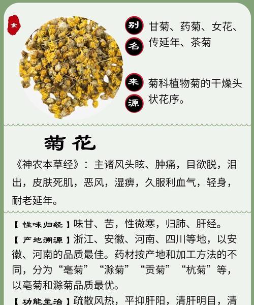菊花的花语及含义是什么？菊花代表了哪些情感？