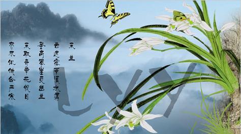 兰花的花语和故事是什么？兰花代表了哪些情感？