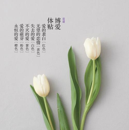 代表爱情的的花语有哪些？如何用花表达爱情？
