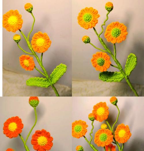 和雏菊有关的花语有哪些？雏菊代表了哪些意义？