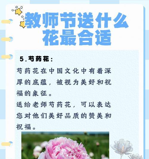 刚认识时适合送什么花？这些花的花语是什么？
