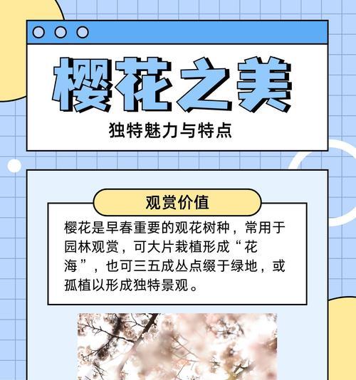 樱花的寓意是什么？樱花的花语有哪些？